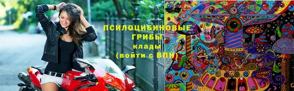Альфа ПВП Елабуга