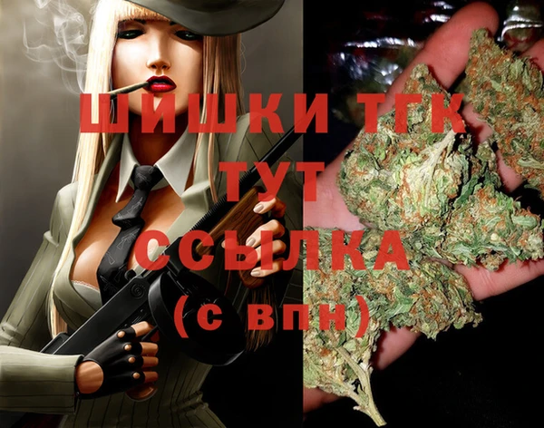 Альфа ПВП Елабуга